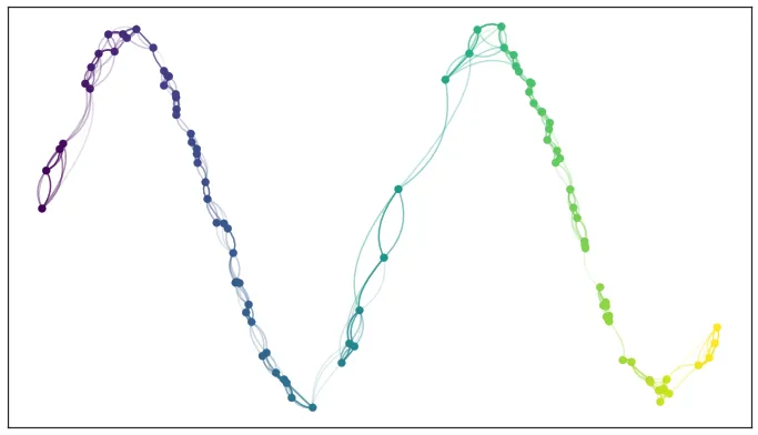 how_umap_works_raw_graph.png